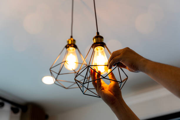 Best Home Electrical Repair  in Rockwood, MI